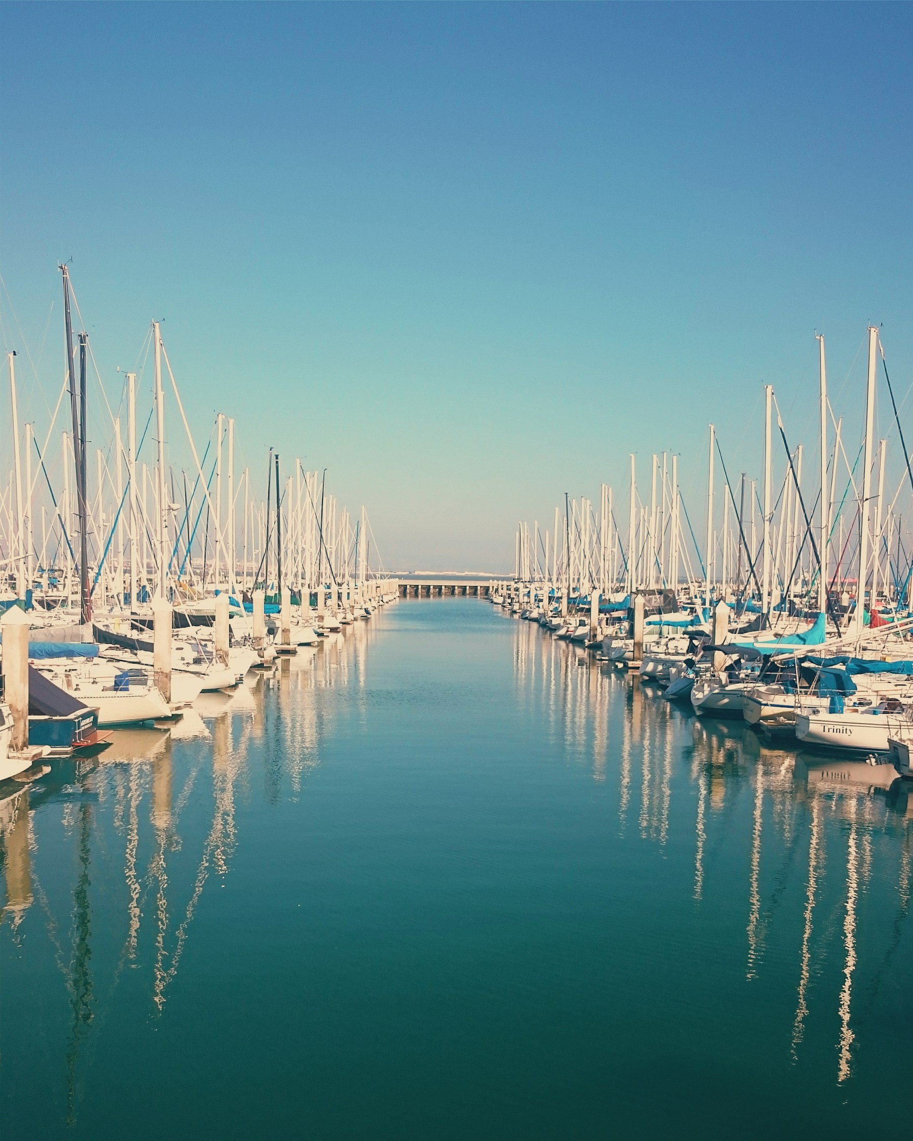 Italy marina operator feedback visual